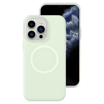 Jelly Liquid Silicone MagSafe Magnetic Phone Case, For iPhone 12 Pro, For iPhone 11 Pro Max, For iPhone 11, For iPhone 11 Pro