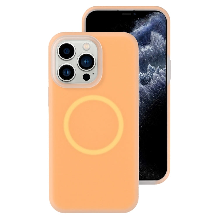Jelly Liquid Silicone MagSafe Magnetic Phone Case, For iPhone 12 Pro, For iPhone 11 Pro Max, For iPhone 11, For iPhone 11 Pro