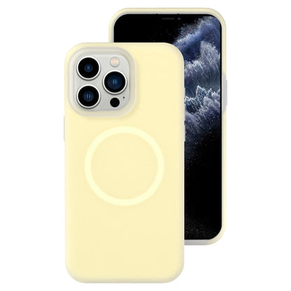Jelly Liquid Silicone MagSafe Magnetic Phone Case, For iPhone 12 Pro, For iPhone 11 Pro Max, For iPhone 11, For iPhone 11 Pro
