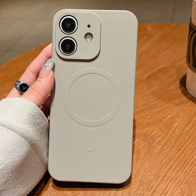 Solid Color Liquid Silicone MagSafe Magnetic Phone Case, For iPhone 11, For iPhone 11 Pro