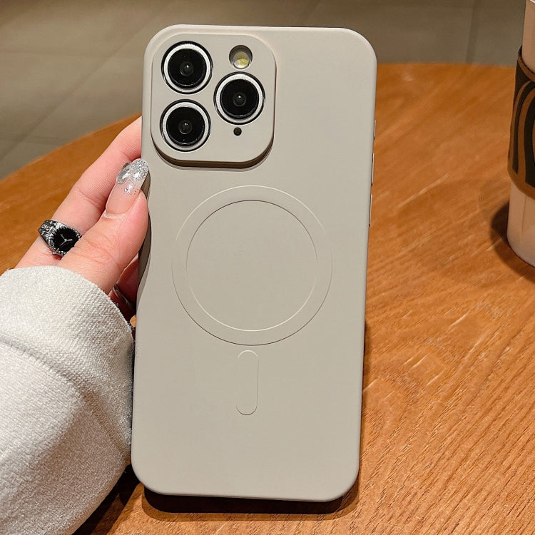 Solid Color Liquid Silicone MagSafe Magnetic Phone Case, For iPhone 11, For iPhone 11 Pro