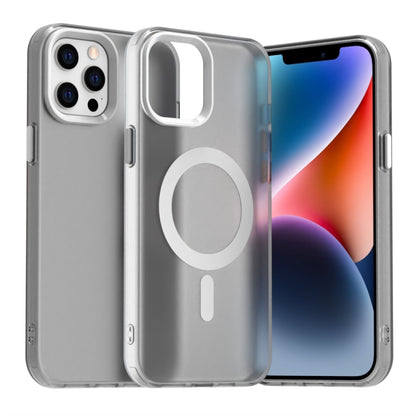 Candy Magsafe PC Hybrid TPU Phone Case, For iPhone 13, For iPhone 12 Pro Max, For iPhone 12 Pro, For iPhone 12, For iPhone 11 Pro Max, For iPhone 11, For iPhone 11 Pro