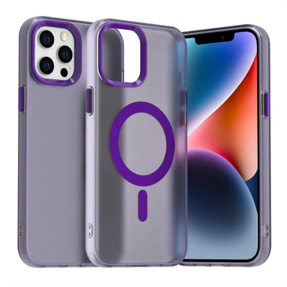 Candy Magsafe PC Hybrid TPU Phone Case, For iPhone 13, For iPhone 12 Pro Max, For iPhone 12 Pro, For iPhone 12, For iPhone 11 Pro Max, For iPhone 11, For iPhone 11 Pro