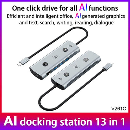 YCE V261 13 in 1 USB-C / Type-C HUB Adapter AI Docking Station, V261
