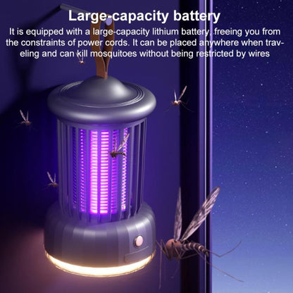 Rechargeable Portable Light Trapping Electric Mosquito Killer Lamp, VD-02