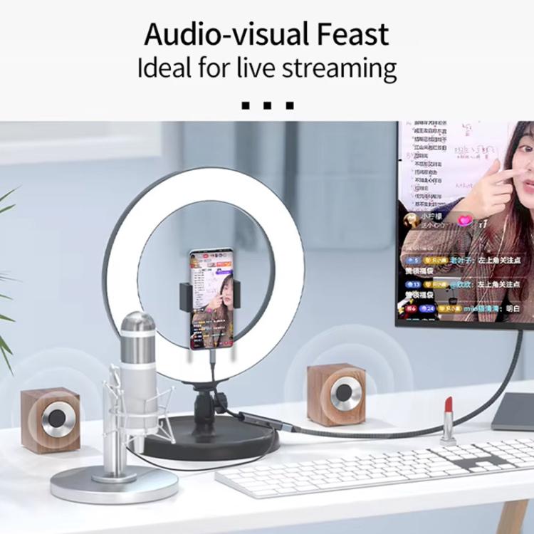 Type-C 3 in 1 HUB Docking Station