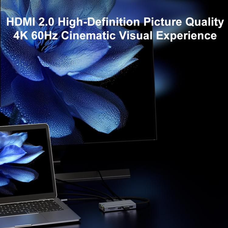HDMI 4K 60Hz Type-C 10 in 1 HUB Docking Station