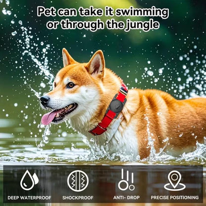 xDfind Silicone Pet Collar Tracker Transparent PC Cover, For AirTag