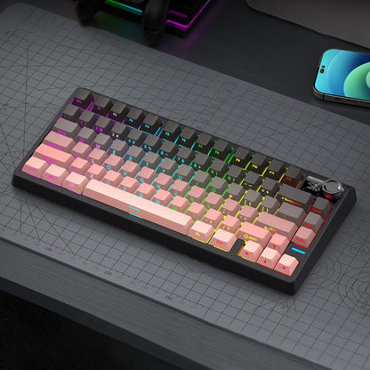 SHIPADOO JK750 Blue Switch RGB 79 Keys Three Modes Mechanical Keyboard