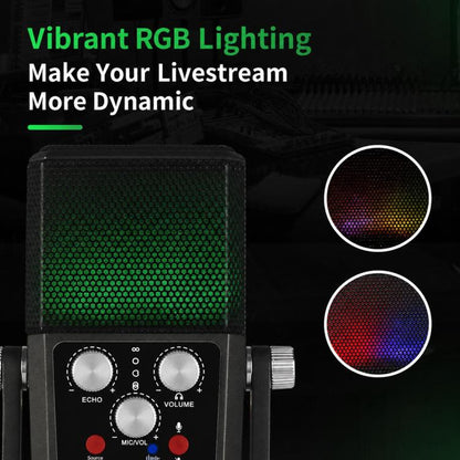 BM-959PL Multi-directional Switching ASMR Recording Condenser Microphone
