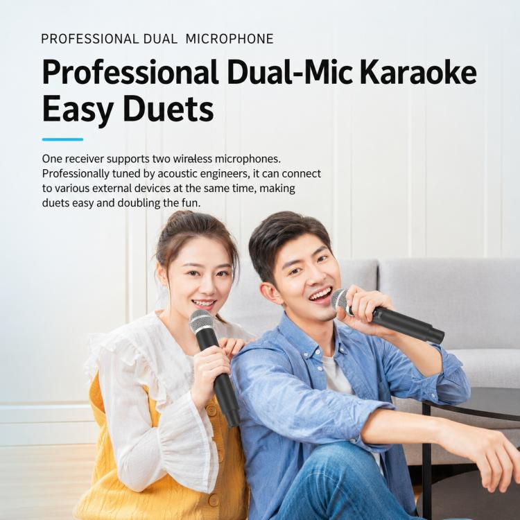 E5 1 to 2 Handheld UHF Wireless Microphone