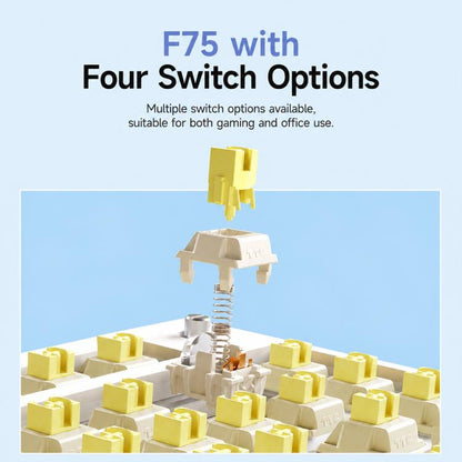 AULA F75 80 Keys Wired/2.4G/Bluetooth Tri-mode Custom Mechanical Keyboard