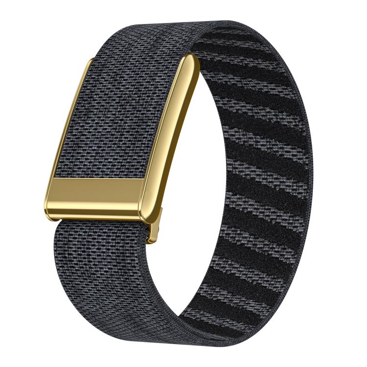 Bright Gold Frame Elastic Force Decorative Design Nylon Watch Band, For WHOOP 5.0 Electrocardiogram, For WHOOP 5.0 Regular