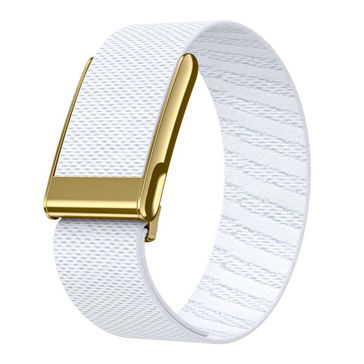 Bright Gold Frame Elastic Force Decorative Design Nylon Watch Band, For WHOOP 5.0 Electrocardiogram, For WHOOP 5.0 Regular