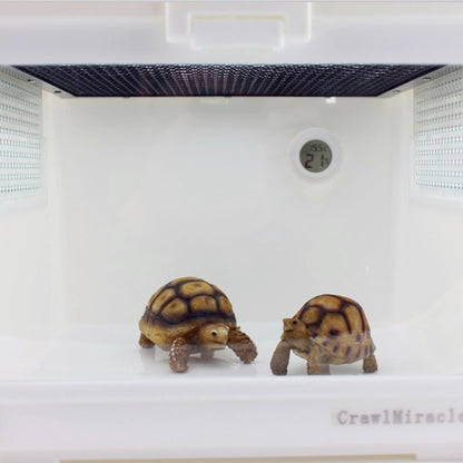 Thermomètre et hygromètre numériques ronds pour terrarium avec écran d'affichage Centigrade