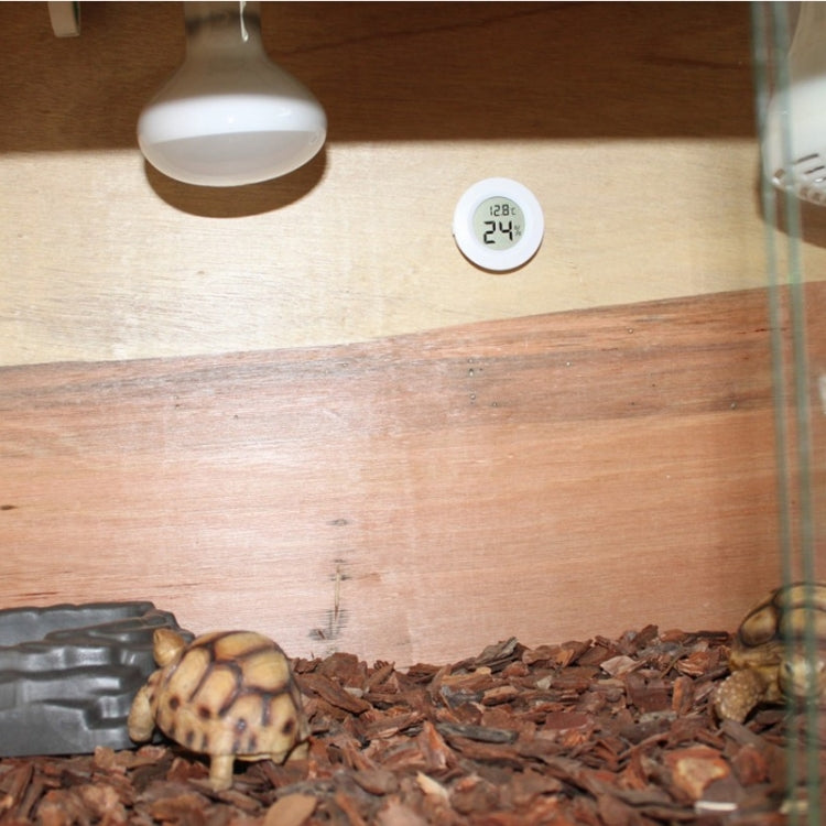 Thermomètre et hygromètre numériques ronds pour terrarium avec écran d'affichage Centigrade