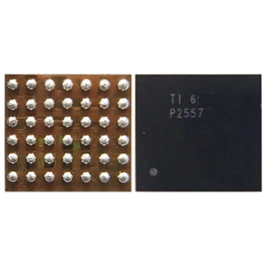 Audio IC Module P2557, P2557