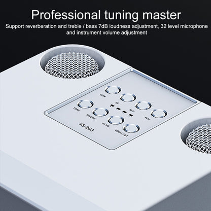 YS-203 Bluetooth Karaoke Speaker Wireless Microphone, YS-203 (Gold), YS-203 (Black), YS-203 (Red), YS-203 (Silver)