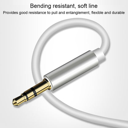 8 Pin to 3.5mm AUX Audio Adapter Cable, Length: 1m