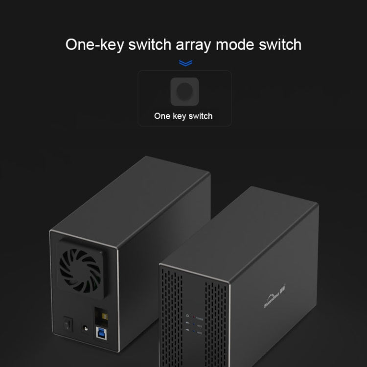 Blueendless USB-B Interface 3.5 inch 2 Bay RAID Combination Array HDD External Enclosure, USB-B