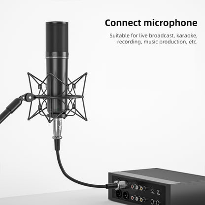 1m 3-Pin XLR Male to XLR Female Microphone Cable, Length: 1m