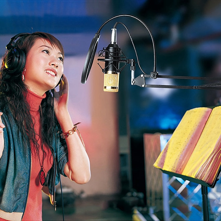 Compatible with PC / Mac for Live Broadcast Show, KTV, etc., BM800 Red, BM800 White, BM800 Black, BM800 Pink, BM800 Blue