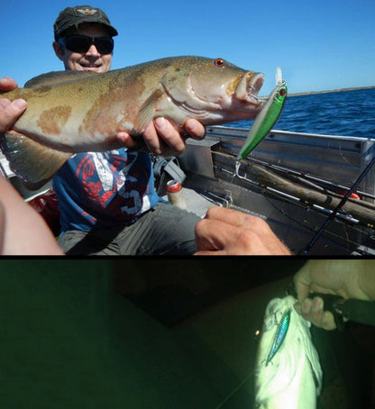 HENGJIA Lot de 6 Leurres Durs Artificiels Type Minnow, 8,5cm 8,9g, pour la Pêche, 6 PIÈCES 8,5cm 8,9g