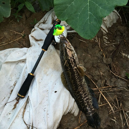 HENGJIA 5 Pcs Leurres Souples Pêche à la Frappe Ray Grenouille avec Boîte en Plastique, Leurres Souples Pêche à la Frappe