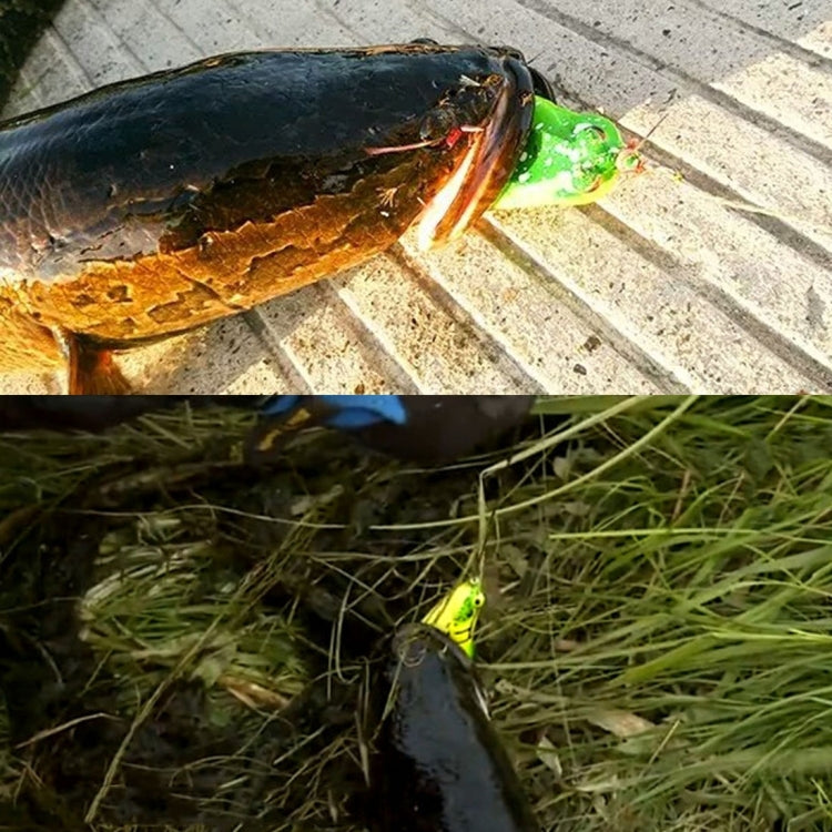 HENGJIA 5 Pcs Leurres Souples Pêche à la Frappe Ray Grenouille avec Boîte en Plastique, Leurres Souples Pêche à la Frappe