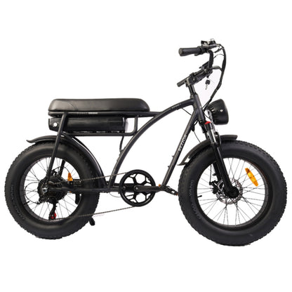 BEZIOR XF001 1000W 48V 12.5AH Retro Electric Bicycle with LCD Digital Display & 20 inch Tires, UK Plug, XF001 EU Plug (Black)