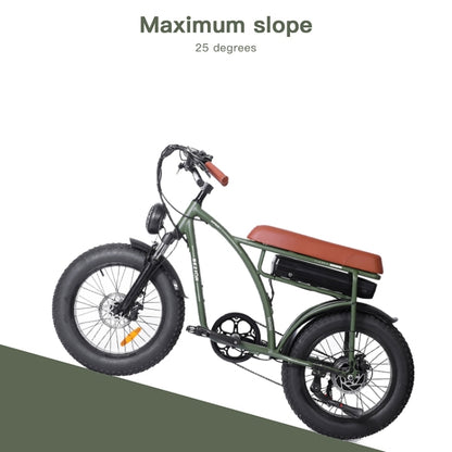 BEZIOR XF001 1000W 48V 12.5AH Retro Electric Bicycle with LCD Digital Display & 20 inch Tires, UK Plug, XF001 EU Plug (Black)