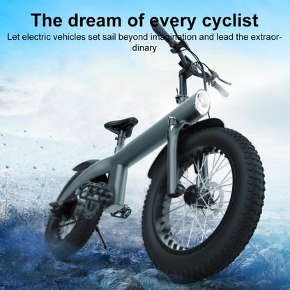 Q3 250W All-terrain Off-road Electric Bicycle with 20 inch Tires, EU Plug (Black)