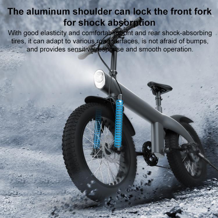 Q3 250W All-terrain Off-road Electric Bicycle with 20 inch Tires, EU Plug (Black)