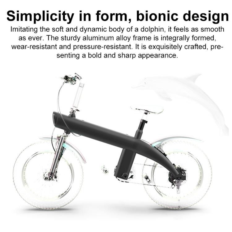 Q3 250W All-terrain Off-road Electric Bicycle with 20 inch Tires, EU Plug (Black)