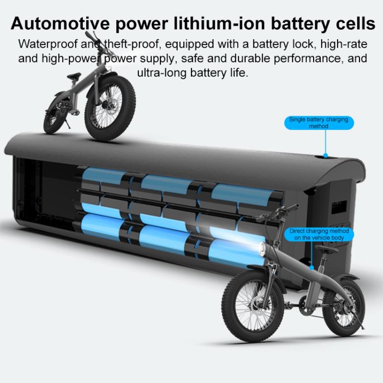 Q3 250W All-terrain Off-road Electric Bicycle with 20 inch Tires, EU Plug (Black)