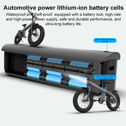 Q3 250W All-terrain Off-road Electric Bicycle with 20 inch Tires, EU Plug (Black)