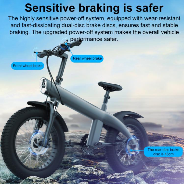 Q3 250W All-terrain Off-road Electric Bicycle with 20 inch Tires, EU Plug (Black)