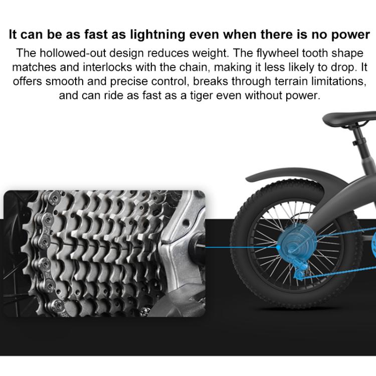 Q3 250W All-terrain Off-road Electric Bicycle with 20 inch Tires, EU Plug (Black)
