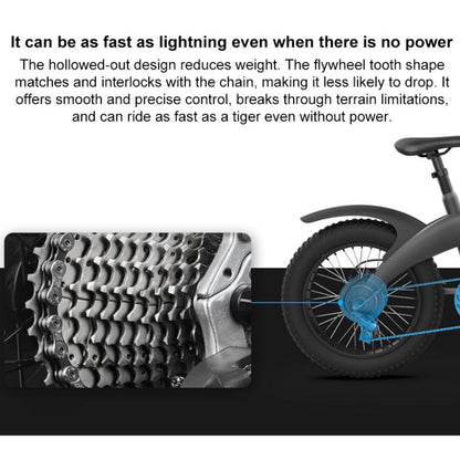 Q3 250W All-terrain Off-road Electric Bicycle with 20 inch Tires, EU Plug (Black)