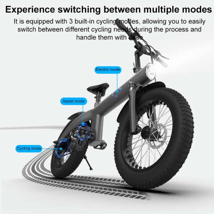 Q3 250W All-terrain Off-road Electric Bicycle with 20 inch Tires, EU Plug (Black)