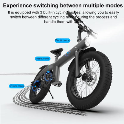 Q3 250W All-terrain Off-road Electric Bicycle with 20 inch Tires, EU Plug (Black)