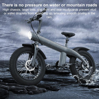 Q3 250W All-terrain Off-road Electric Bicycle with 20 inch Tires, EU Plug (Black)