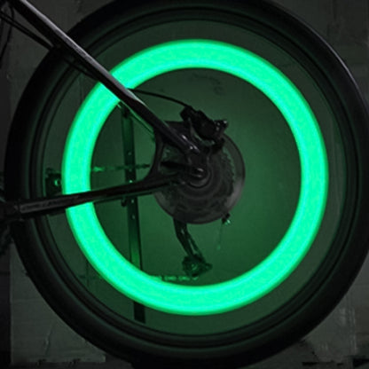 2 PCS Bicycle Wheels Willow Spoke Lights Decoration Colorful LED Night Riding Light