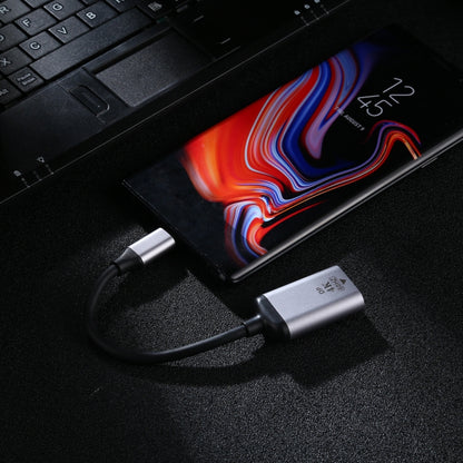 4K 60Hz DP Female to Type-C / USB-C Male Connecting Adapter Cable, DP Female to Type-C Male