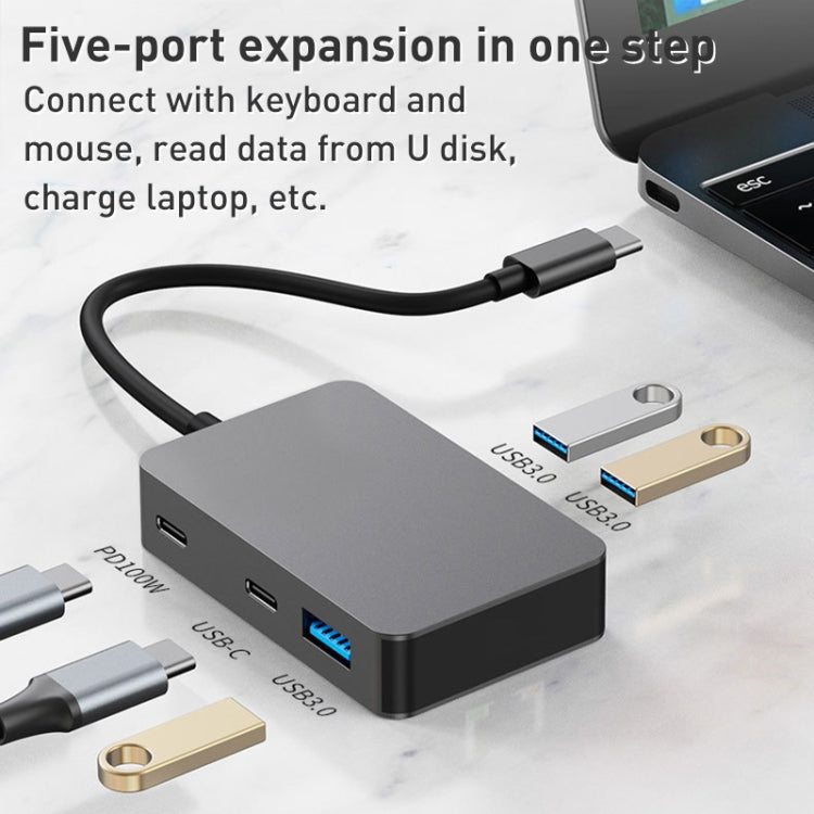 BYL-2316 5 in 1 USB-C / Type-C to USB3.0 & Type-C Multifunctional Docking Station HUB Adapter, BYL-2316