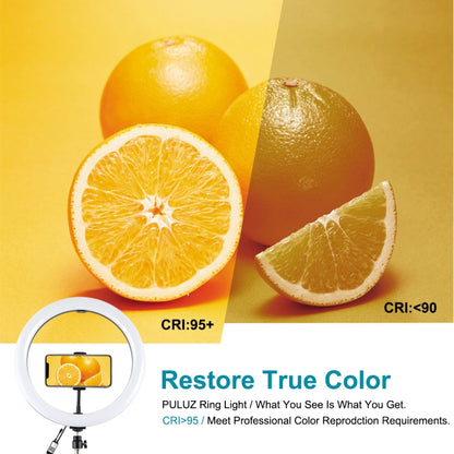 PULUZ 11.8 inch 30cm RGB Light 1.1m Tripod Mount Dimmable LED Ring Vlogging Selfie Photography Video Lights Live Broadcast Kits with Cold Shoe Tripod Ball Head & Phone Clamp, 12 inch RGB+Tripod(EU), 12 inch RGB+Tripod(UK), 11.8 inch RGB+Tripod(US)     ...