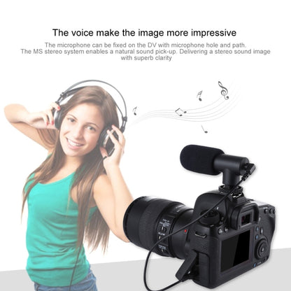PULUZ 3.5mm Audio Stereo Recording Vlogging Professional Interview Microphone for DSLR & DV Camcorder, Smartphones, Mini Microphone(AE), Mini Microphone