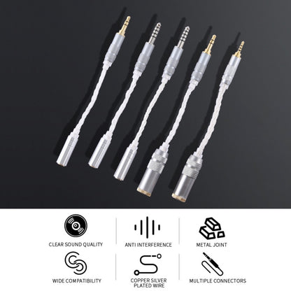 ZS0021 4.4mm Male to 3.5mm Female Balance Adapter Cable