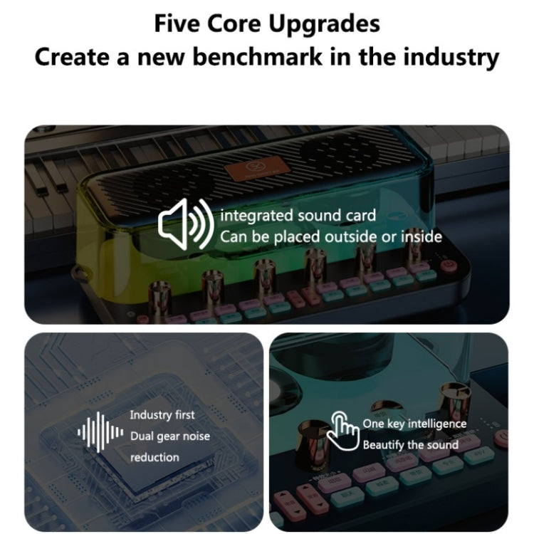 C18 Home Sound Card Karaoke Audio Integrated Microphone Equipment Full Set