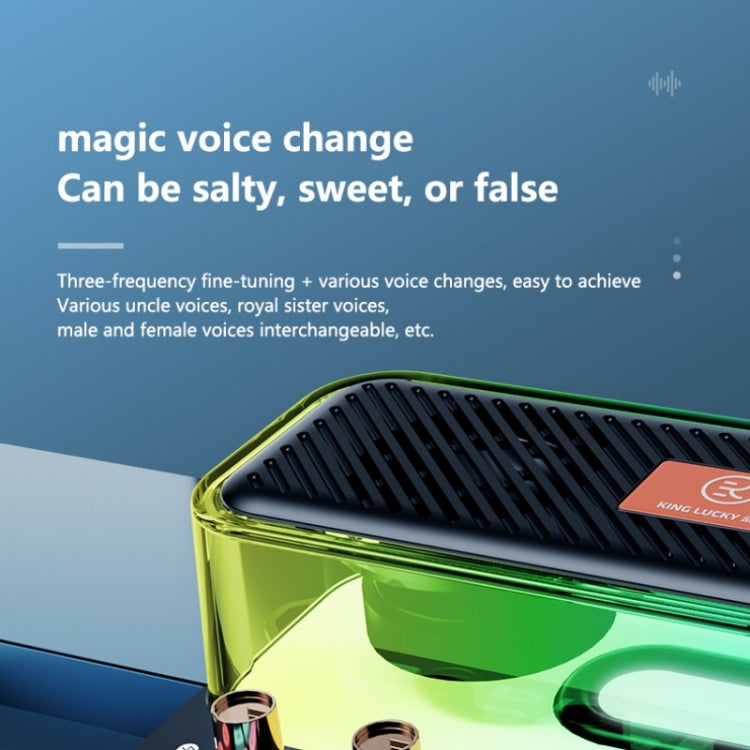 C18 Home Sound Card Karaoke Audio Integrated Microphone Equipment Full Set